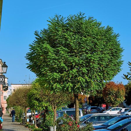 Ferienwohnung Tittmoning Zwischen Salzburg, Burghausen Und Oesterreich Esterno foto