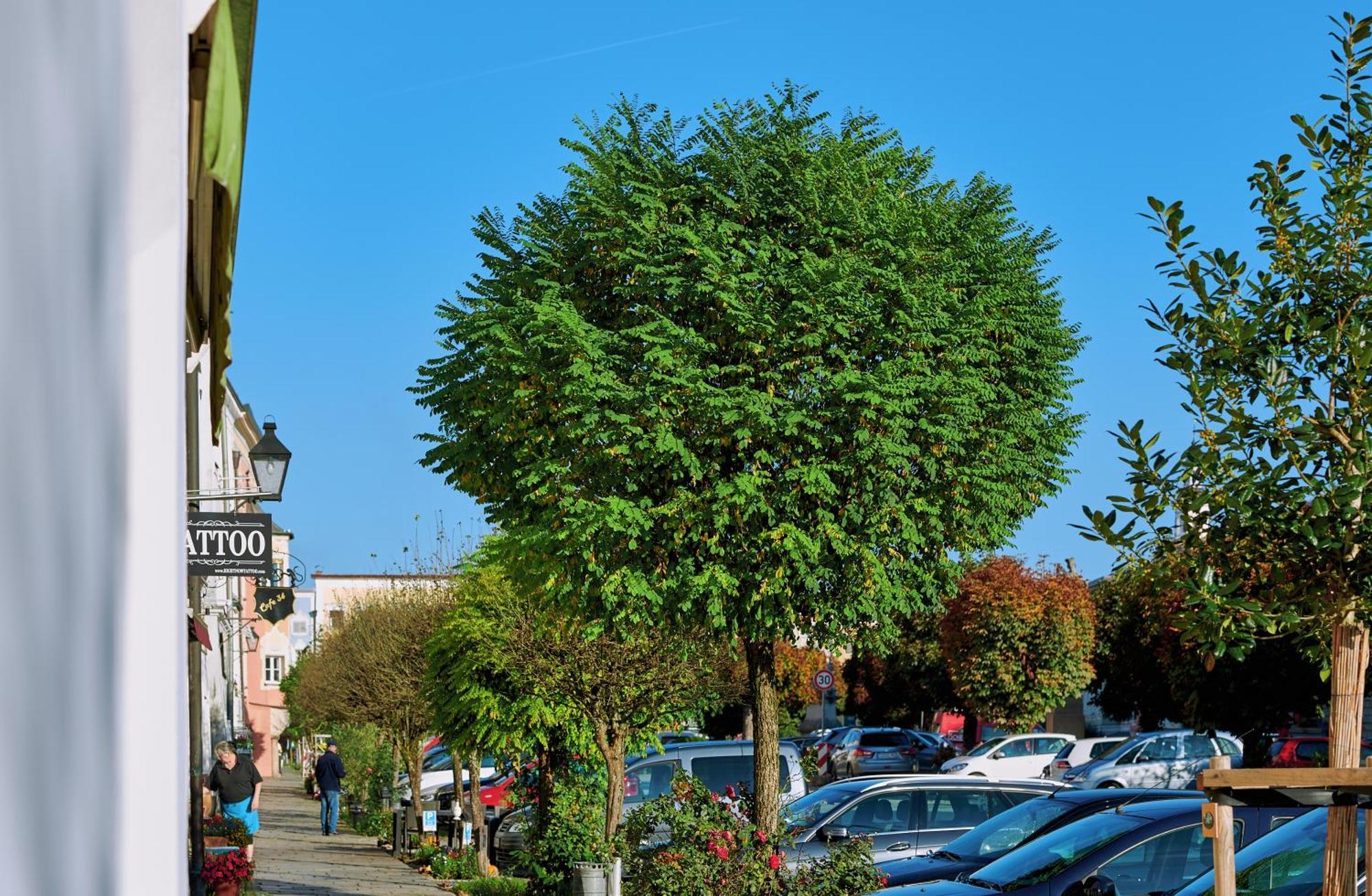 Ferienwohnung Tittmoning Zwischen Salzburg, Burghausen Und Oesterreich Esterno foto